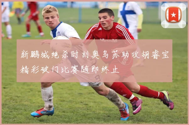 新鹏城绝杀时刻奥乌苏助攻胡睿宝精彩破门比赛随即终止