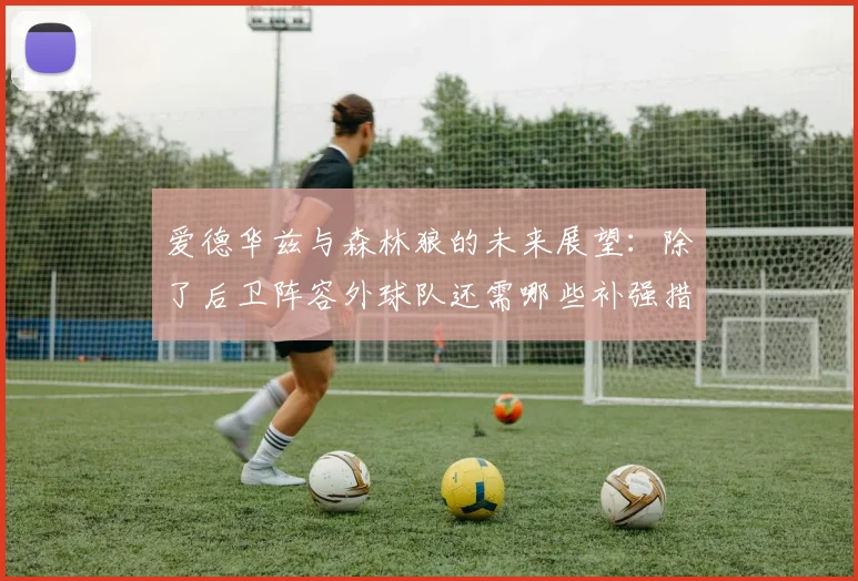 爱德华兹与森林狼的未来展望：除了后卫阵容外球队还需哪些补强措施