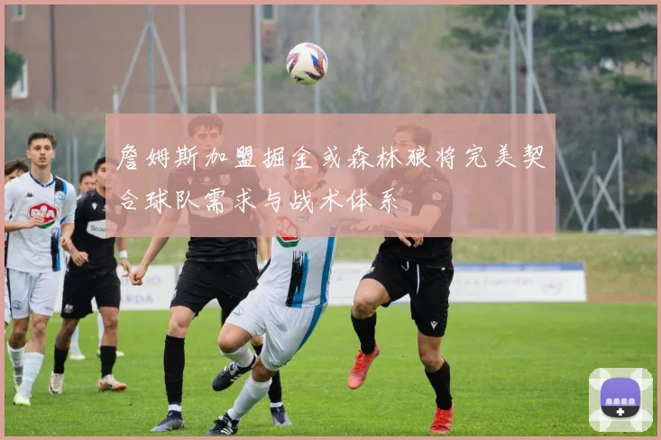 詹姆斯加盟掘金或森林狼将完美契合球队需求与战术体系