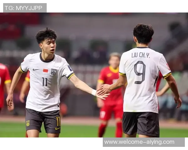 法比奥咨询归化国足事宜遗憾失去机会引发关注 法比奥咨询归化国足事宜遗憾失去机会引发关注